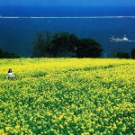 早春の風景